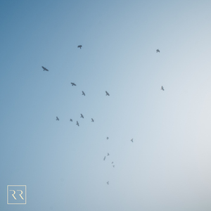 九九热免费视频
